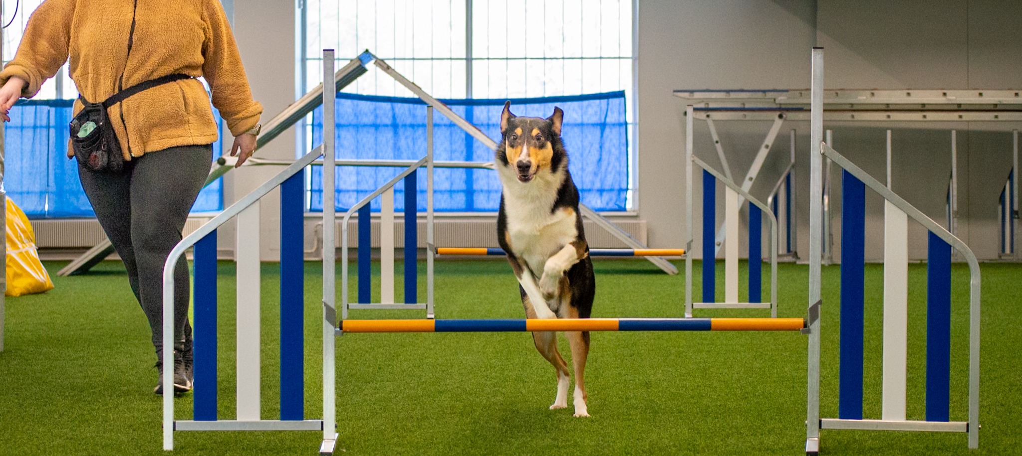 Tervetuloa Ertin sivuille!