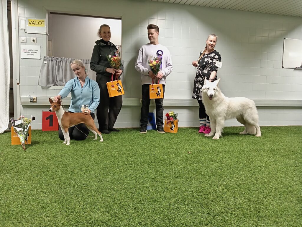 Palkitut Match Show 28.2.