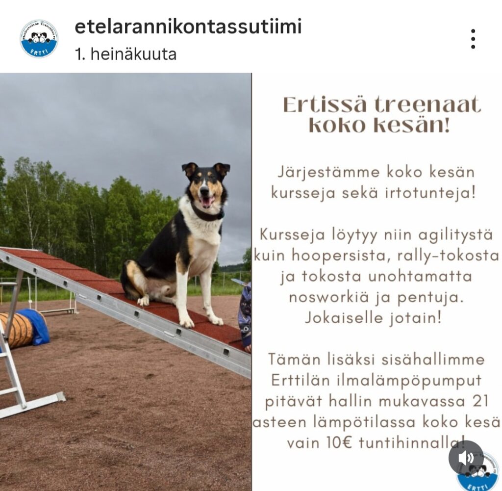 Koko kesän